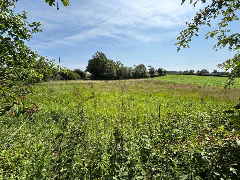 Somerset