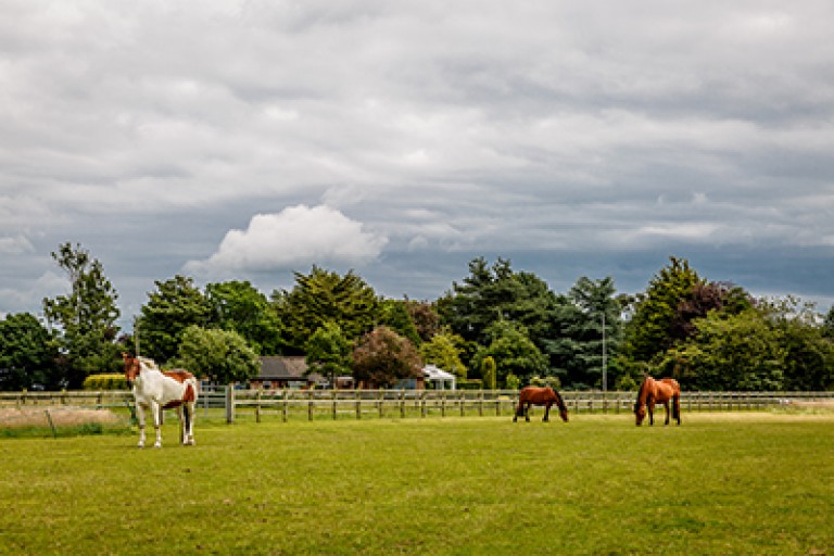 Scratching your head on how to manage your land?