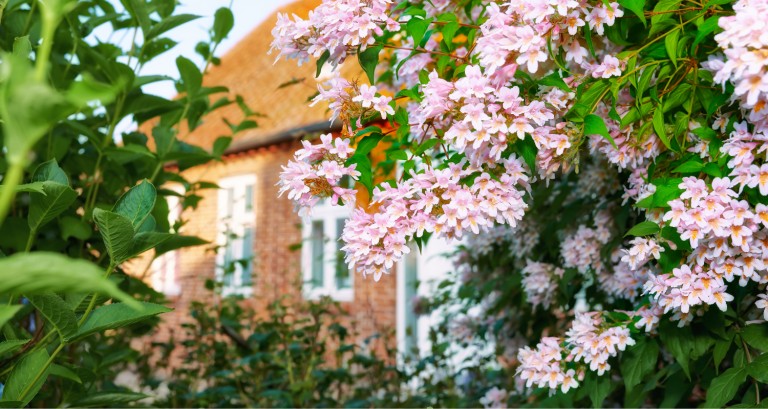 Why summer is a good time to sell your home